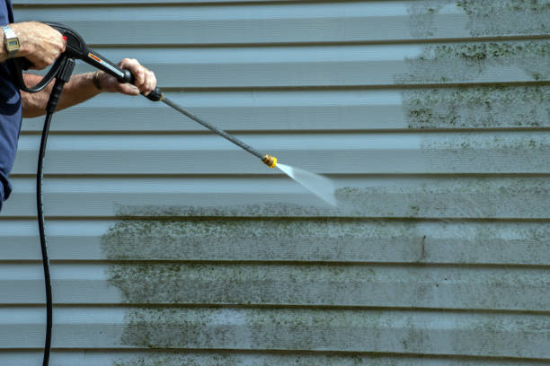 Best Exterior Home Cleaning  in Kissimmee, FL